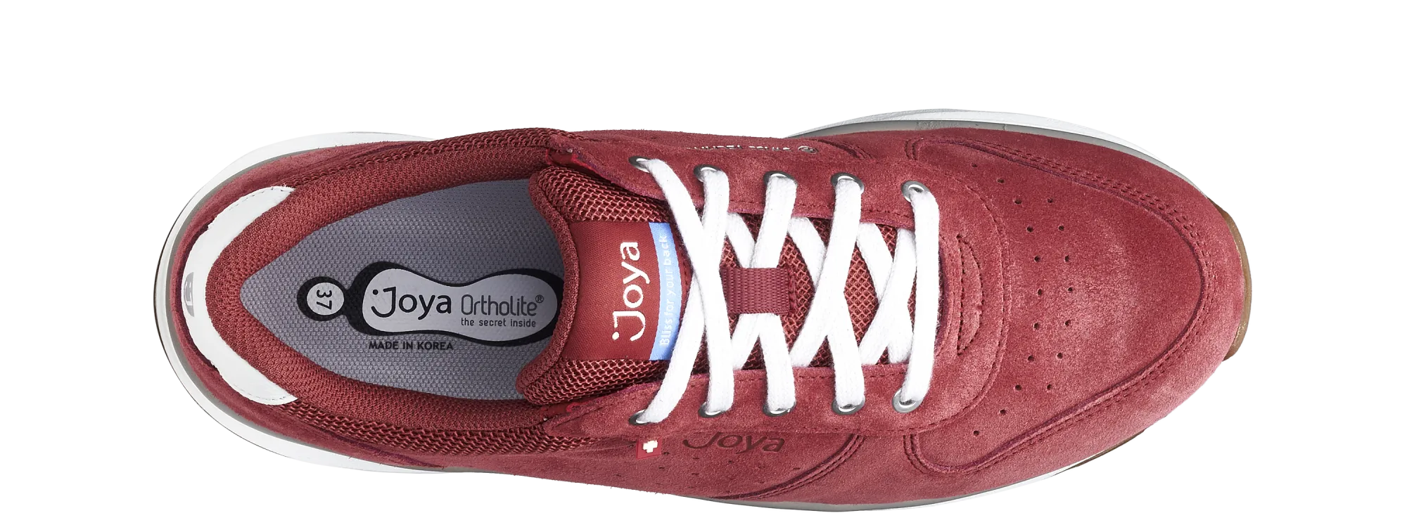 Dynamo Classic dark red