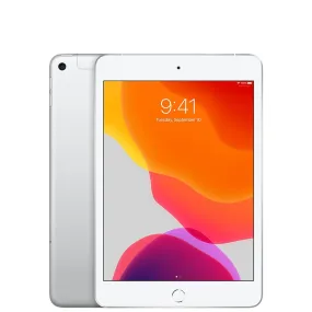 iPad Mini 5 256GB Silver (Cellular   Wifi)