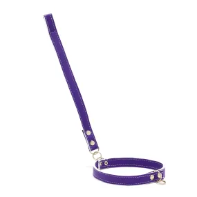 Purple Husky Dog Lead